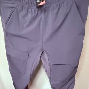 Adidas Blue Hiking Joggers